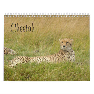 Cheetah 2008 calendar