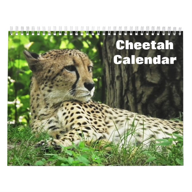Cheetah 2026 calendar (Cover)