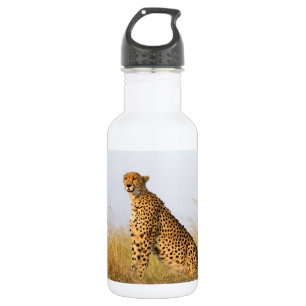 Cheetah 532 Ml Water Bottle