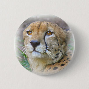 cheetah 6 cm round badge
