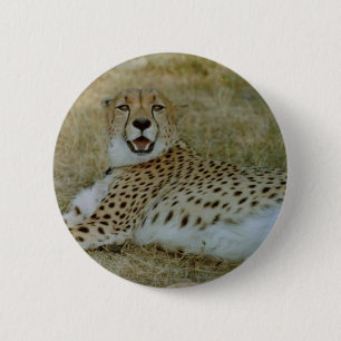 Cheetah 6 Cm Round Badge