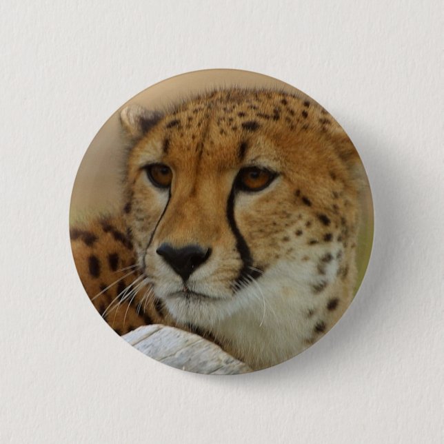 Cheetah 6 Cm Round Badge (Front)