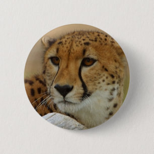 Cheetah 6 Cm Round Badge