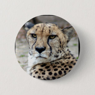 Cheetah-8934e-Bfram 6 Cm Round Badge