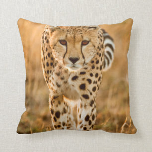 Cheetah (Acinonyx Jubatus) Portrait, Maasai Cushion