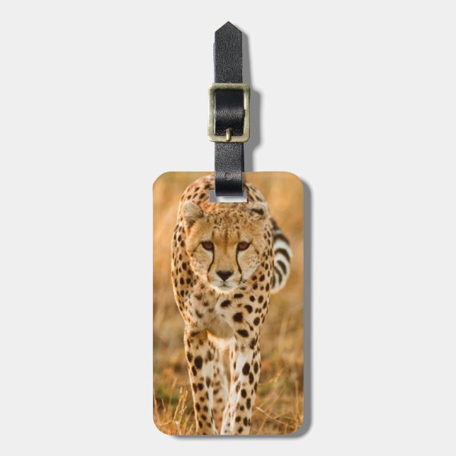 Cheetah (Acinonyx Jubatus) Portrait, Maasai Luggage Tag (Front Vertical)