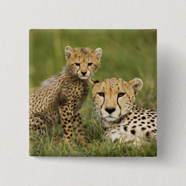 Cheetah, Acinonyx jubatus, with Cub 15 Cm Square Badge (Front)