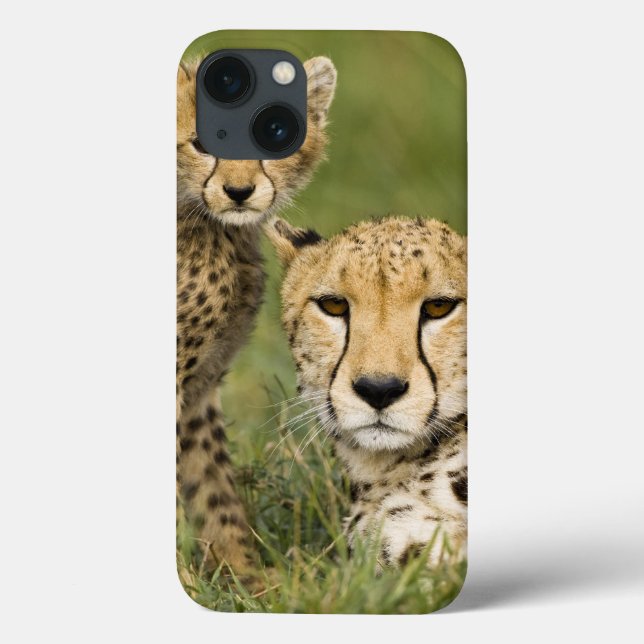 Cheetah, Acinonyx jubatus, with Cub Case-Mate iPhone Case (Back)
