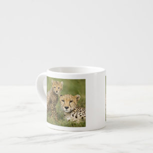Cheetah, Acinonyx jubatus, with Cub Espresso Cup