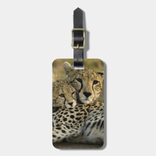 Cheetah, Acinonyx jubatus, with cub in the Masai 2 Luggage Tag