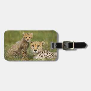 Cheetah, Acinonyx jubatus, with Cub Luggage Tag