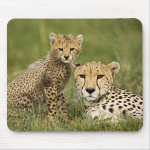 Cheetah, Acinonyx jubatus, with Cub Mouse Pad