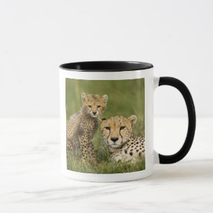Cheetah, Acinonyx jubatus, with Cub Mug