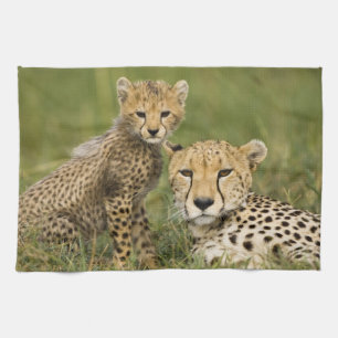 Cheetah, Acinonyx jubatus, with Cub Tea Towel