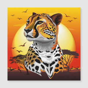Cheetah African Feline Wild Animal