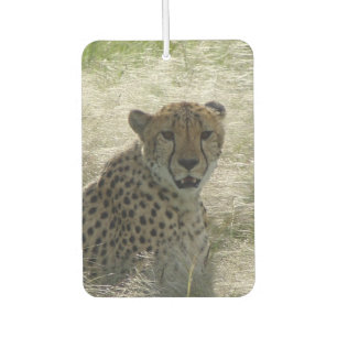 Cheetah Air Freshener