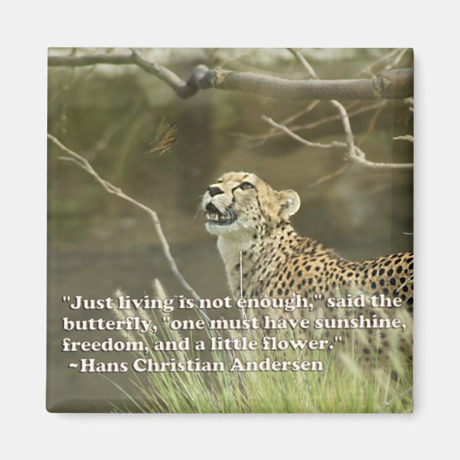 CHEETAH AND BUTTERFLY MAGNET (Front)
