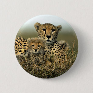 Cheetah and Cub 6 Cm Round Badge