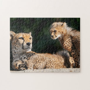 Cheetah and Cub Puzzle