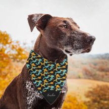 Cheetah Animal Print Teal Script Name Pet Bandanna