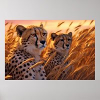 Cheetah Animal Wildlife Wilderness Colourful Art