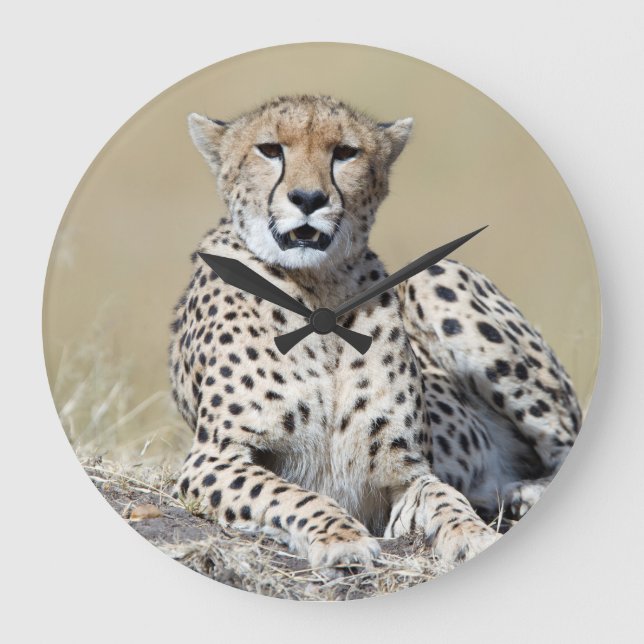 Cheetah at the Masai Mara in Kenya photo Large Clock (Front)