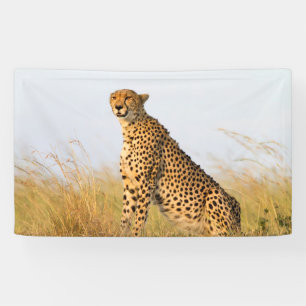 Cheetah Banner