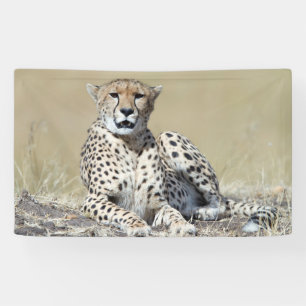Cheetah Banner