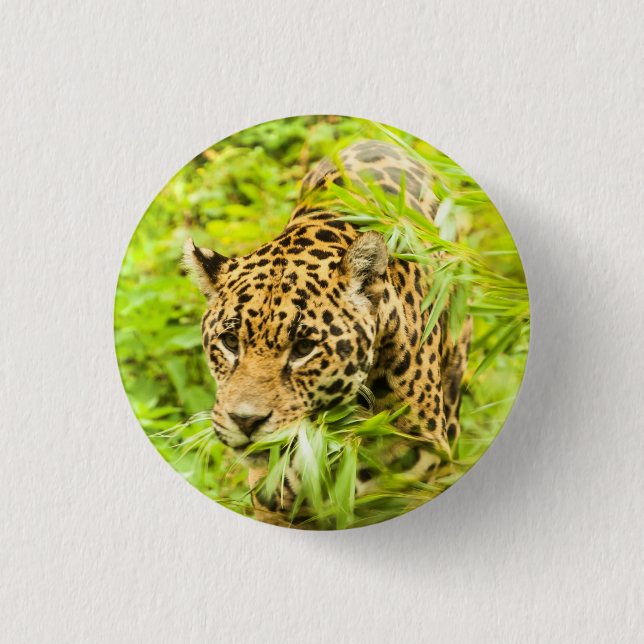 Cheetah - Button (Front)