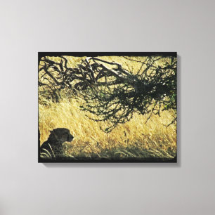 Cheetah Canvas Print