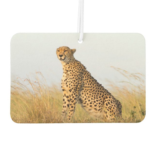 Cheetah Car Air Freshener (Back)
