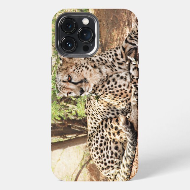 Cheetah Case-Mate iPhone case (Back)