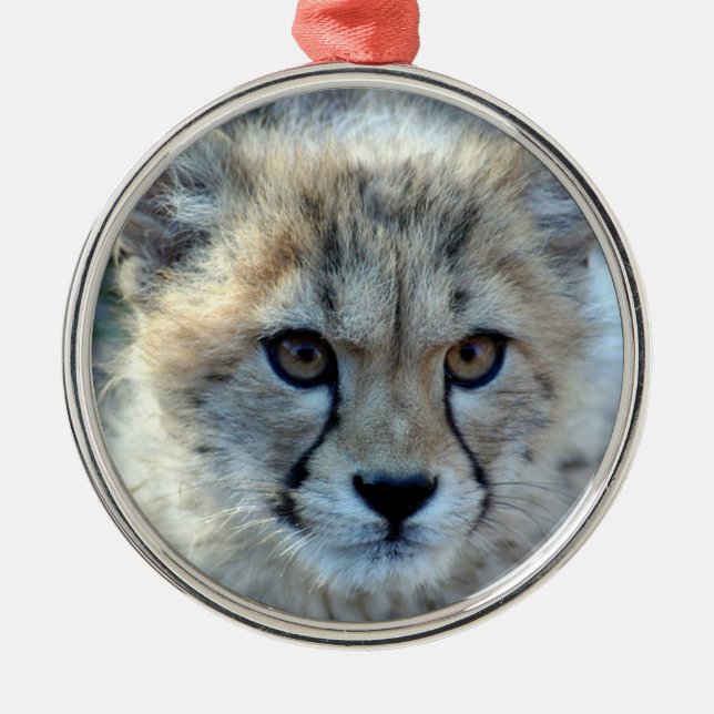 Cheetah Christmas Ornament (Front)