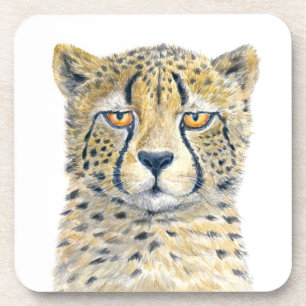 Cheetah Coaster