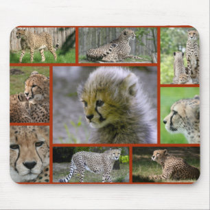 Cheetah-Collage 001 Poster Mouse Pad