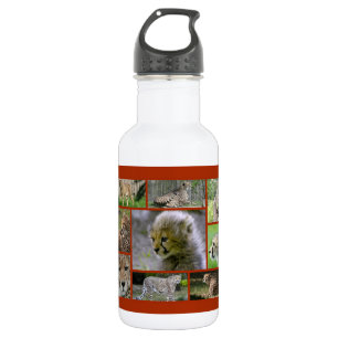 Cheetah-Collage 002 532 Ml Water Bottle