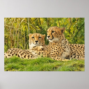 Cheetah Companions – Resting in the Wild Poster