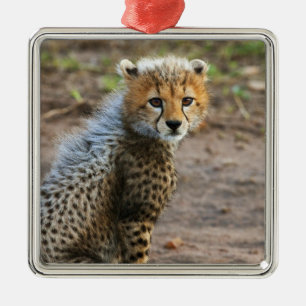 Cheetah Cub Acinonyx Jubatus) Metal Tree Decoration