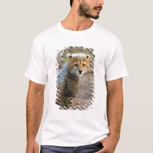 Cheetah Cub Acinonyx Jubatus) T-Shirt