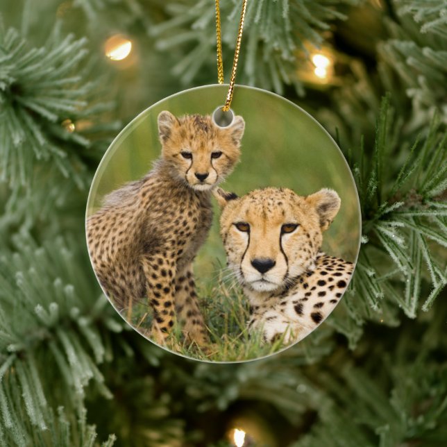Cheetah Cub and Parent in Grass Ceramic Tree Decoration (Tree)