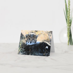Cheetah cub customisable note card