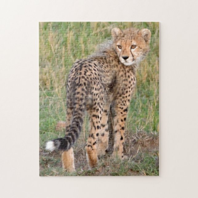 Cheetah Cub Looking Your Way. Jigsaw Puzzle (Vertical)
