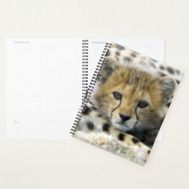 Cheetah Cub Planner (Display)