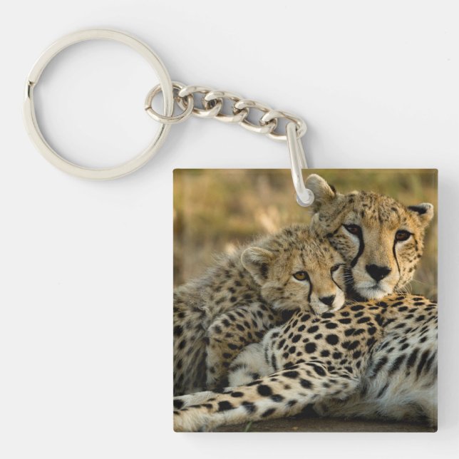 Cheetah Cub Snuggling with its Mum Key Ring (Front)