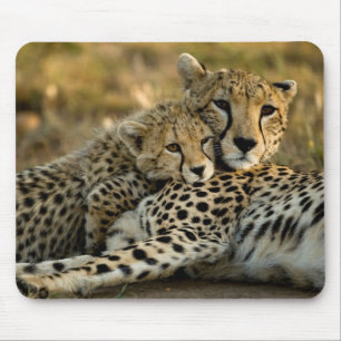 Cheetah Cub Snuggling with its Mum Mouse Pad