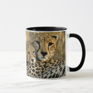 Cheetah Cub Snuggling with its Mum Mug
