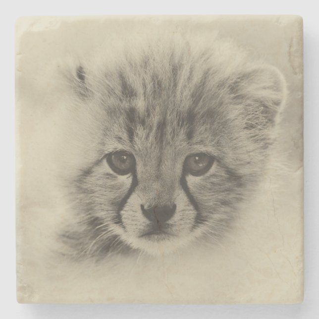 Cheetah Cub Stone Coaster (Front)