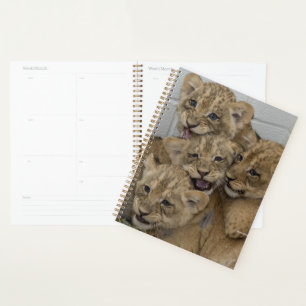 Cheetah Cubs Playing Planner