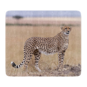 Cheetah Cutting Board