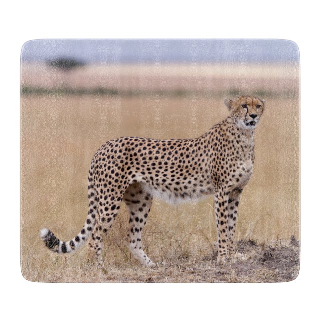 Cheetah Cutting Board (Front)